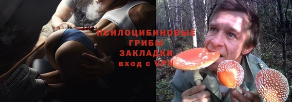 дживик Нея