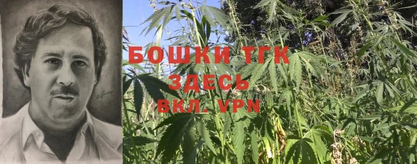 ALPHA-PVP Надым