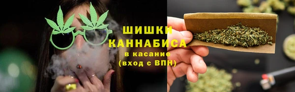 дмт Богородицк