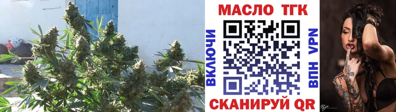 Дистиллят ТГК концентрат  где найти наркотики  Минусинск 