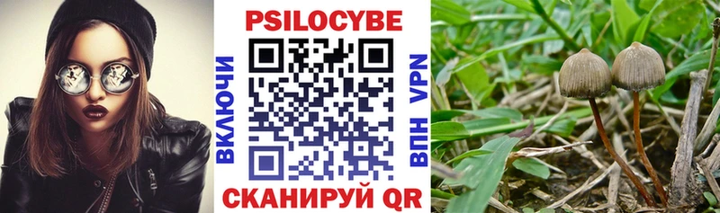 Галлюциногенные грибы Cubensis  сколько стоит  Минусинск 