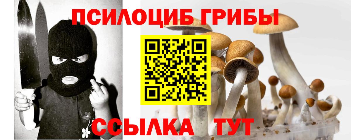 Псилоцибиновые грибы прущие грибы Минусинск